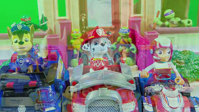 SURPRISE EGGS Paw Patrol Nickelodeon Toys Chase Ryder Marshall Learn Colors an Educational