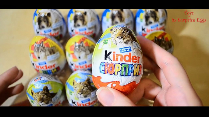 Киндер Сюрприз на русском языке Животные Kinder Surprise Animal Planet new