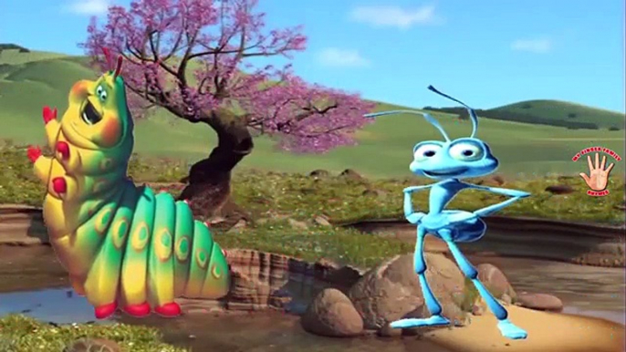 A Bugs Life Finger Family Nursery Rhymes | My Finger Family RhymesA bugs life