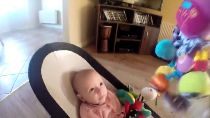 Dog Steals Toy From Baby And Makes Her Cry