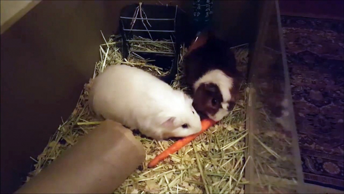 On aimerait que nos gamins aiment autant les légumes