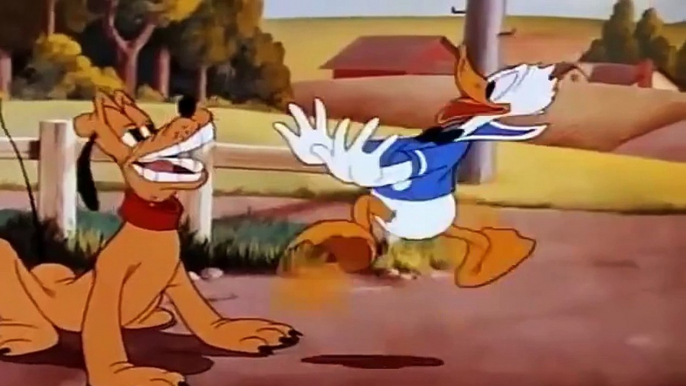 Donald Duck  Chip And Dale Cartoons - Old Classics Disney Cartoons New Compilation