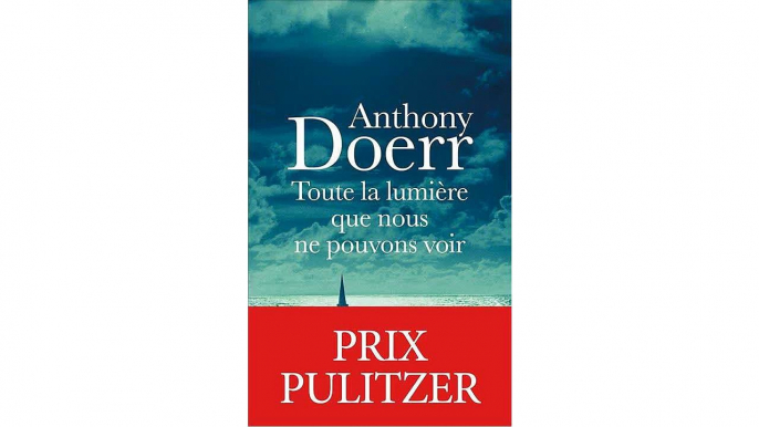 [Download PDF] Toute la lumière que nous ne pouvons voir