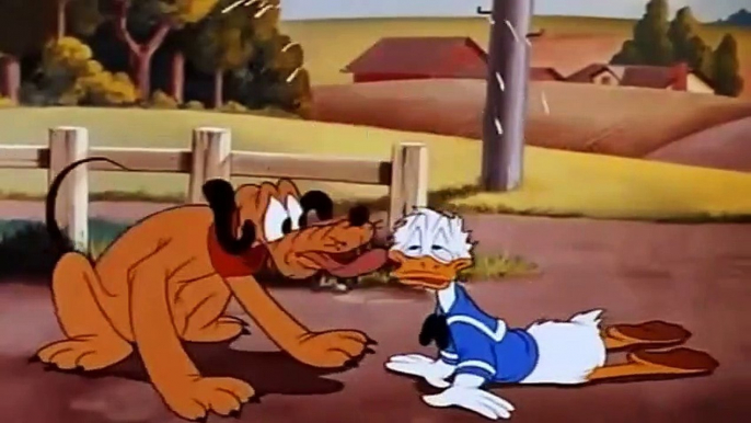 Donald Duck  Chip And Dale Cartoons - Old Classics Disney Cartoons New Compilation