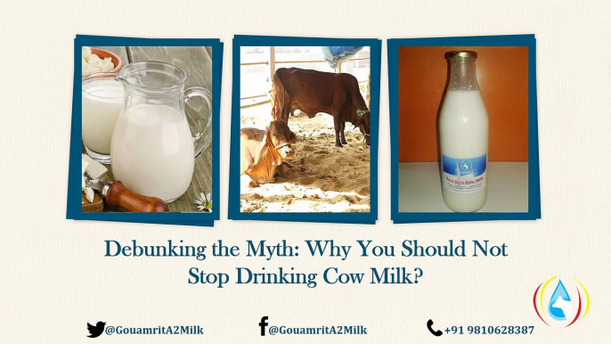 Debunking the Myth: Why You Should Not Stop Drinking Cow Milk?