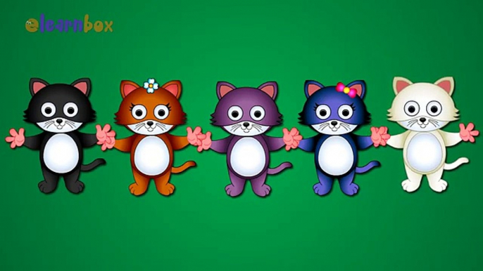 Cat Cartoons Animation Singing Finger Family Nursery Rhymes for Preschool Childrens Song