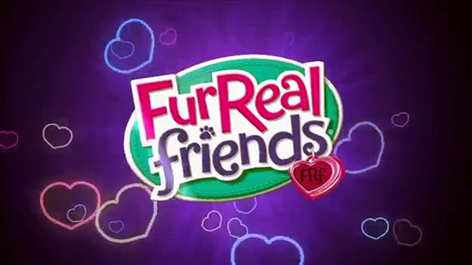 Hasbro - FurReal Friends - Walkin` Puppies & Mini Morkie