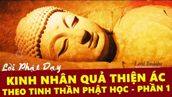 Những Lời Phật Dạy: Kinh Nhân Quả Thiện Ác Theo Tinh Thần Phật Học Phần 1