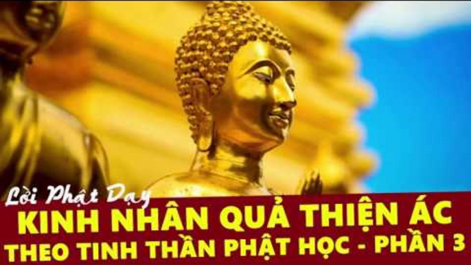 Những Lời Phật Dạy: Kinh Nhân Quả Thiện Ác Theo Tinh Thần Phật Học Phần 3