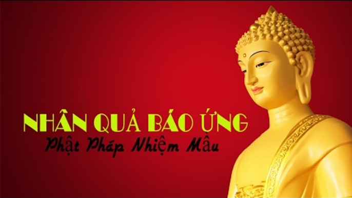 Nhân quả báo ứng - Phật pháp nhiệm màu rất hay | Những Lời Phật Dạy