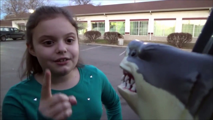 Feeding My Pet Shark McDonald's Chicken Nuggets Happy Meal Big Mac & Fries 'Toy Freaks'-kfB6