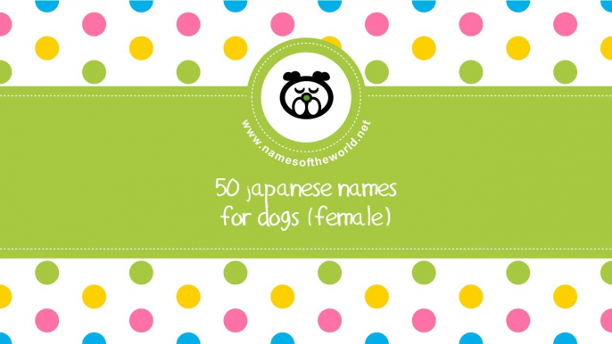 50 japanese names for female dogs -  best dog names - www.namesoftheworld.net