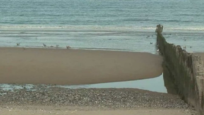 côte d'opale_de calais au cap gris nez.