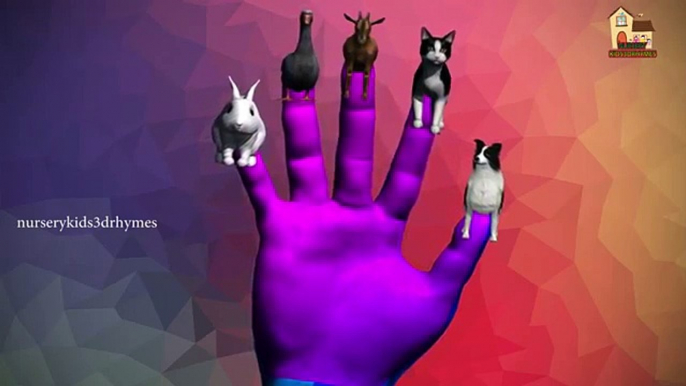 Goat finger family nursery kid educational 3d english children rhymes