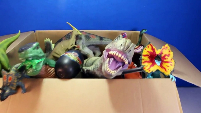 DINOSAURS What's in the Box Toy Dinosaur GIVEAWAY CONTEST Win Dinosaurs   Surprise Eggs Video-U8yjhO