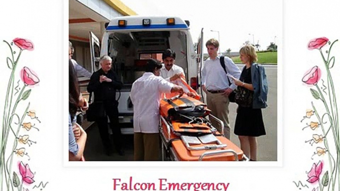 Royal Services by Falcon Emergency Air Ambulance Services in Allahabad-Bangalore