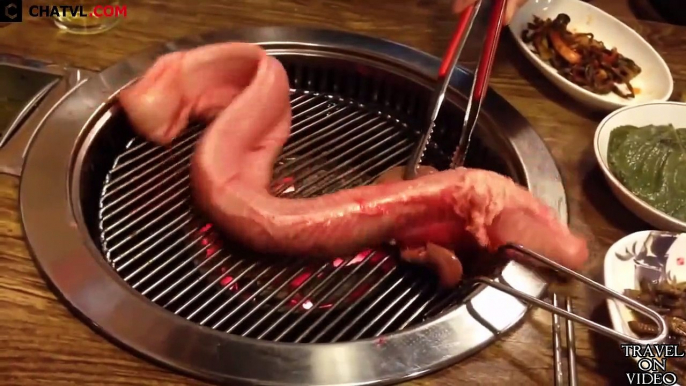 The live food horror of Japan and Korea