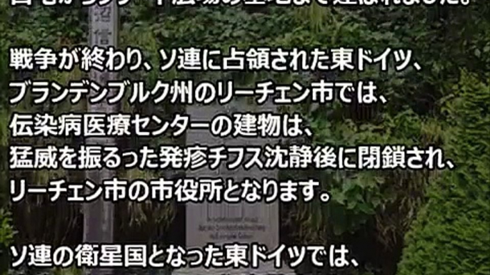 【海外感動】ドイツ人から「神」と慕われた日本人　自らの命を犠牲に多くのドイツ人を救い、ドイツの教科書に載った伝説の医師