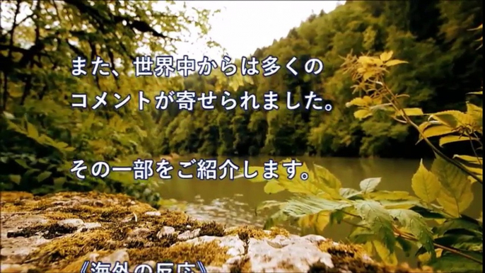 日本人は礼儀正しく、民度が高いと海外でよく評価されます【海外が感動する日本の力】