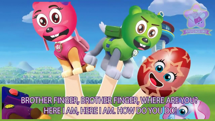 Learn Colors Paw Patrol HulkBusters + Little Babies & Mega Gummy Bear Finger Family Songs