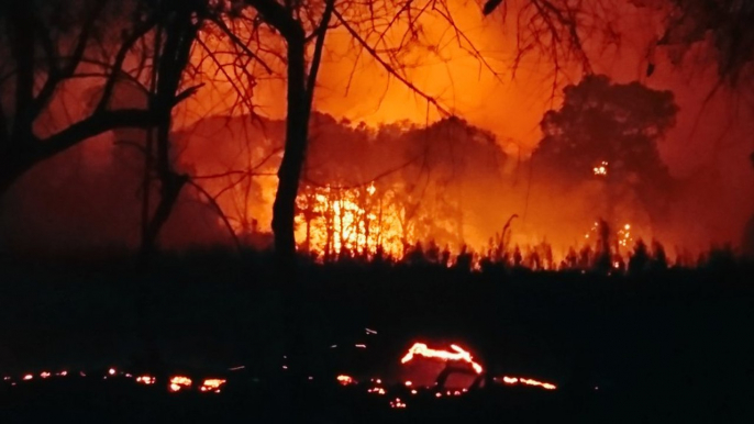 Hundreds Evacuated as Wildfires Hit in Cuernavaca, Mexico