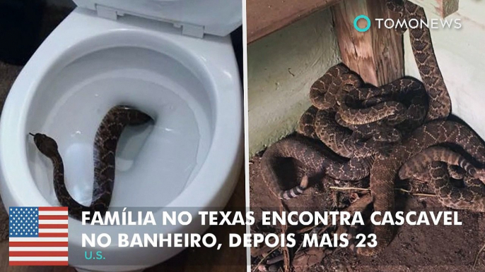 Família no texas encontra cascavel no banheiro, depois encontra mais 23.