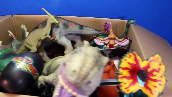 DINOSAURS What's in the Box Toy Dinosaur GIVEAWAY CONTEST Win Dinosaurs   Surprise Eggs Video-U8yjhOM