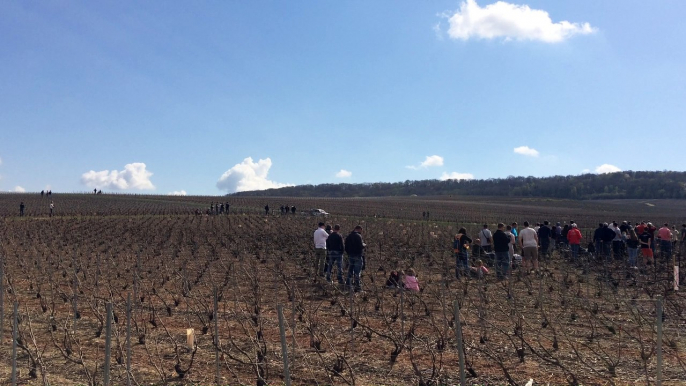 Rallye Epernay Vins de champagne 2017