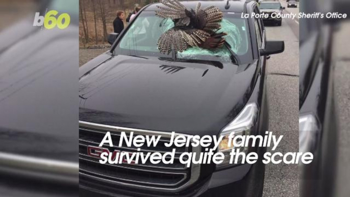 Flying Wild Turkey Smashes Through SUV’s Window