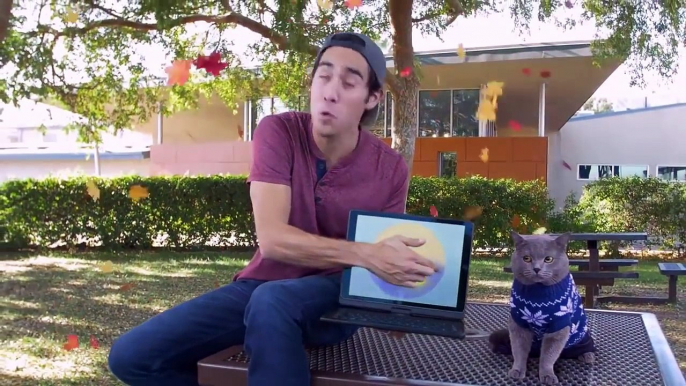 Top Zach King magic tricks with pet - Best funny animals magic vines