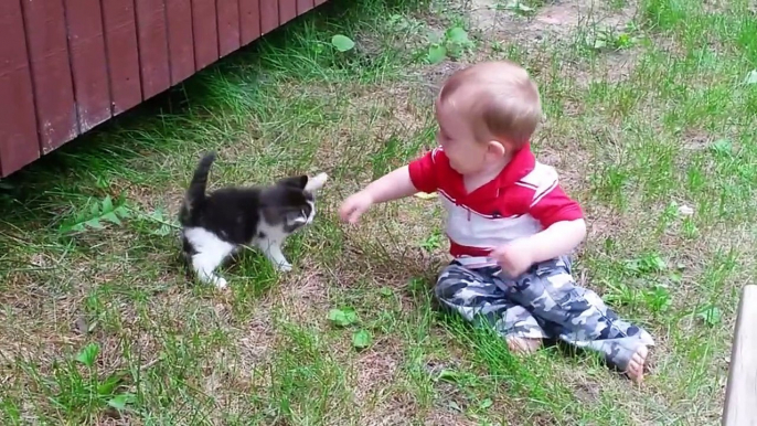 Quoi de plus mignon que des bébés et des chatons Compilation