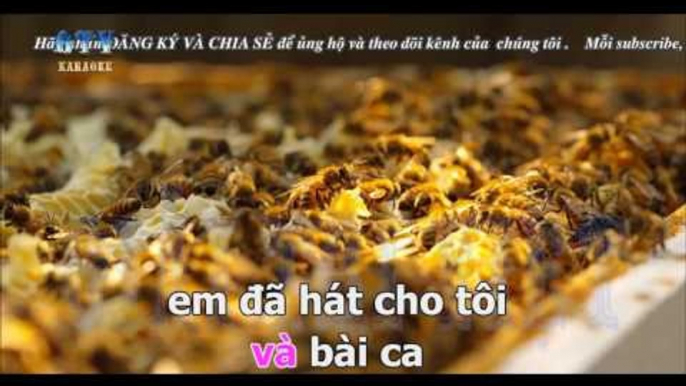 { Karaoke } Hà Nội Ngày Chia Xa  - Ngọc Tân