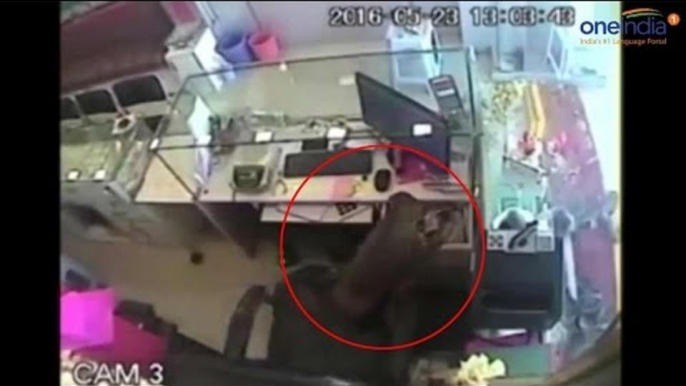 Monkey stealing cash from jewellery shop in Andhra Pradesh, Watch funny video | Oneindia News