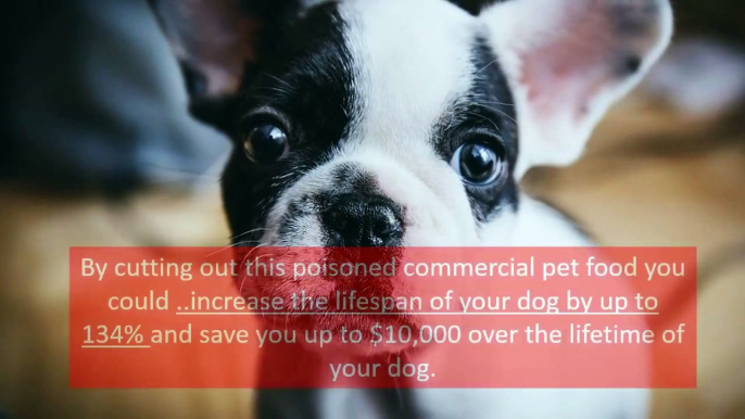 Shocking Commercial Canine Food Secrets Revealed