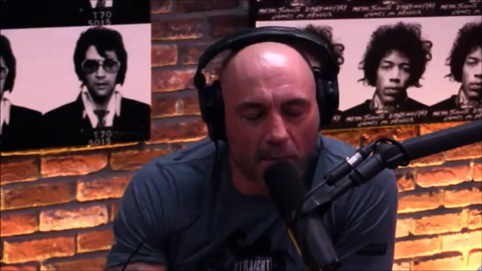 Joe Rogan- Holly Holm was Cheated at UFC 208 vs Germaine De Randamie - Downloaded