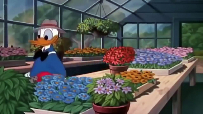 ᴴᴰ1080 Donald Duck - Chip and dale - Pluto / Donald Duck Cartoons Full Ep.s New HD PART 1