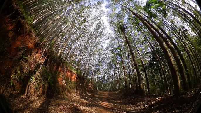 Teste da Câmera, Shimano, CM - 1000, sport cam bike, trilhas, Serra da Mantiqueira, Single track, montanha,  Vale do Paraíba, Taubaté, Pindamonhangaba, Caçapava, SP, Brasil, 2017, Mtb, BTT, ERT, mountain bike, bikers