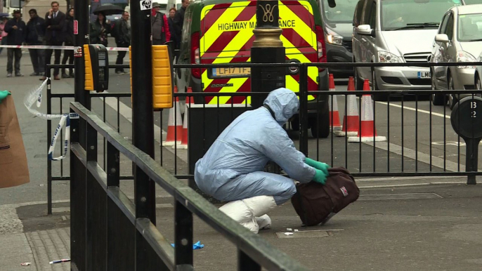 Londres: un homme armé arrêté près du Parlement