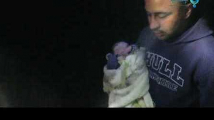 Baby Pulled Alive From Under Rubble After Strikes on Idlib Province