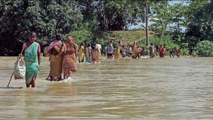 Heavy rains affects life in Tamil Nadu, death toll reaches 48