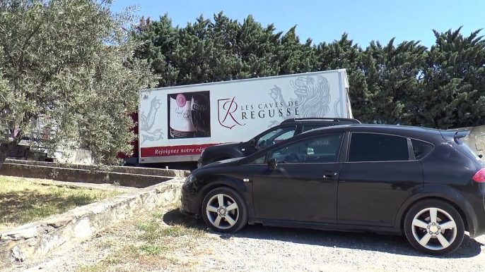 Alpes de Haute-Provence : Les vignes aussi on beaucoup souffert des gelées