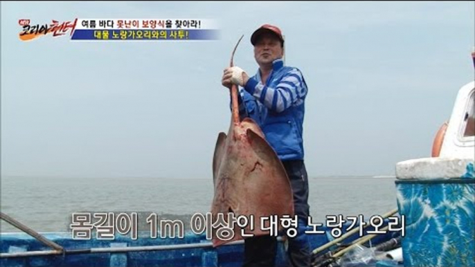 드디어 잡았다! 대물 노랑가오리! [뉴 코리아 헌터] 4회 20160630