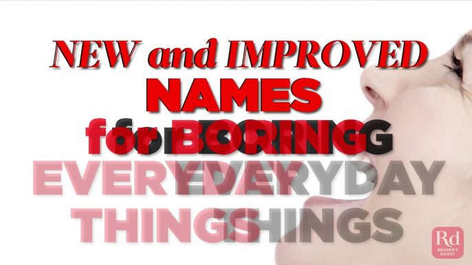 New and Improved Names for Boring Everyday Things