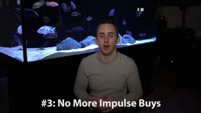 Aquarium New Year's Resolutions-BzJ3J5l47d4