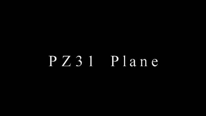 PZ31 Plane _ Flying 3 - 3D Animation Video Clip _ Shaik Parvez [ 4