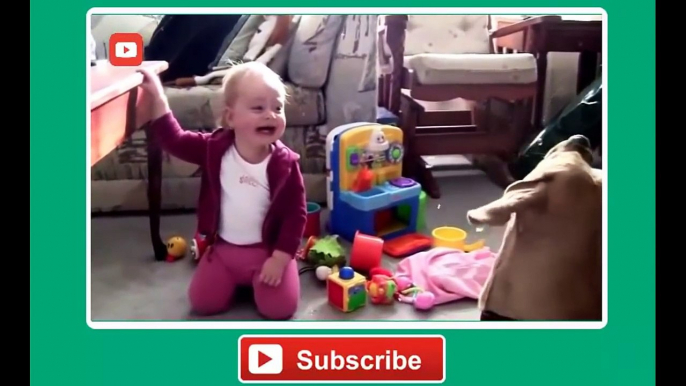 Babies Laughing at Funny Pets - Baby Laughing at Funniest Animals Compilation 2014