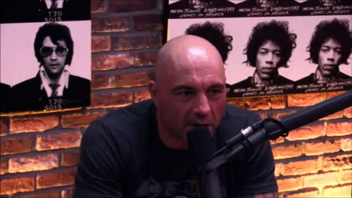 Joe Rogan and Gavin McInnes on Milo Yiannopoulos Contro