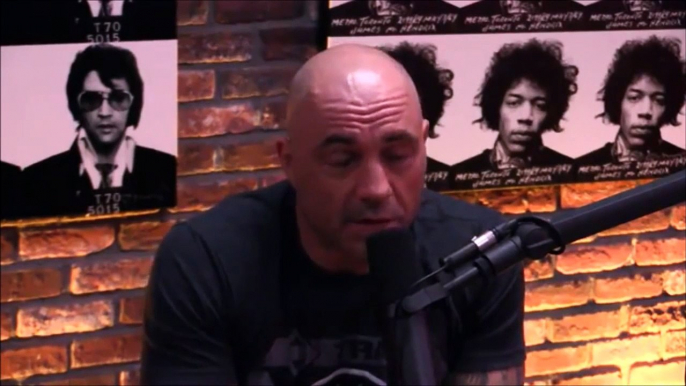 Joe Rogan and Gavin McInnes on Milo Yiannopoulos Controversy - Downloade