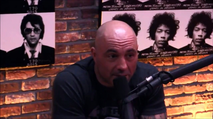 Joe Rogan and Gavin McInnes on Milo Yiannopoulos Controversy