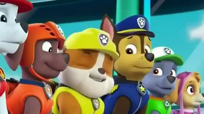 Paw Patrol ♥ Pups Save A BIG BONE ♥ Animation Movies For Kids